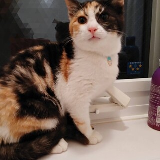 はじめまして！みんみんです♡