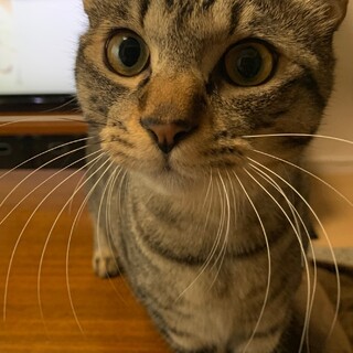 ゆっくり心をひらいてくれたいじらしい男の子