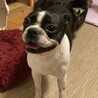 《里親サマ決まりました！》･:*+.りんちゃん サムネイル2
