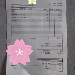 「おたま通院日(3月1回目)」サムネイル3