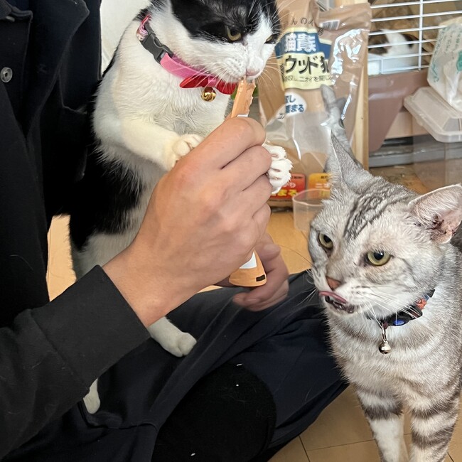 srjm12のカバー写真