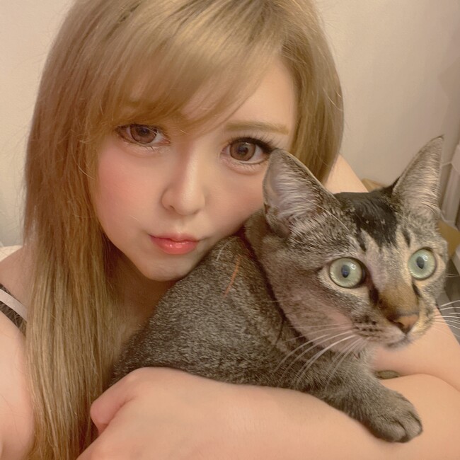 しーまま07のカバー写真