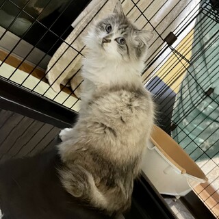 エルサママ☆穏やかに過ごして欲しい