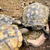 じゅん、、、