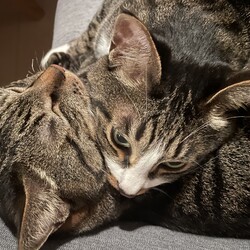 「またまたご無沙汰」サムネイル2