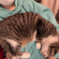 「またまたご無沙汰」サムネイル3