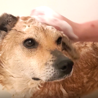 上目遣いが上手なの女の子『こんぶ』ちゃん❤️