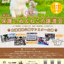 保護犬猫うさぎ譲渡会　in安満人倶楽部ペットグループ