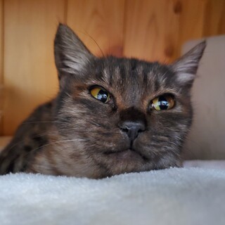 トイレは１度で覚えた賢い女の子