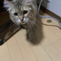 さすけん 様