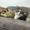パトラ&ゴッド