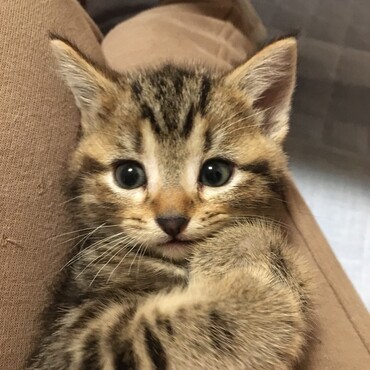 もう今はママになりました♡