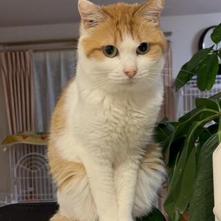 ナデナデ大好き甘えん坊男子❤️