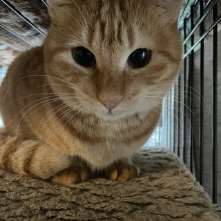 林花♀