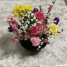 ラッキーみゅー