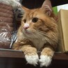 凛くん07