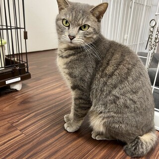 ふみふみが止まらない★甘えん坊アリィ