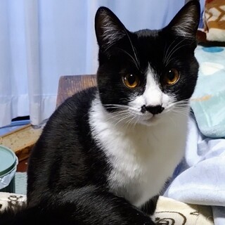 元気なみくり君、家族募集中