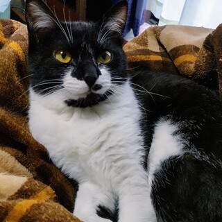 可愛いはるかちゃん、家族募集中