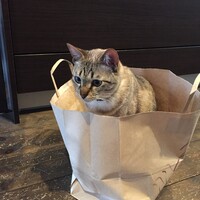 タケゾー