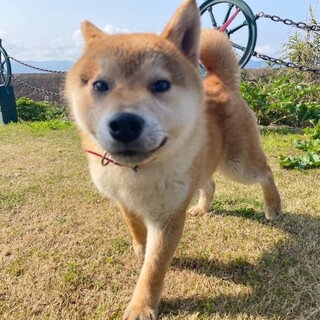 ありがとうございました！