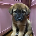 元気いっぱい甘えたなハルちゃん❤️