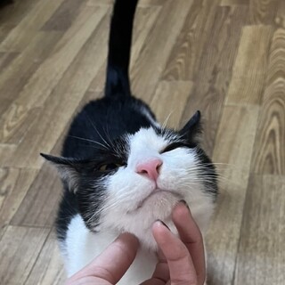 人馴抜群  ミー君