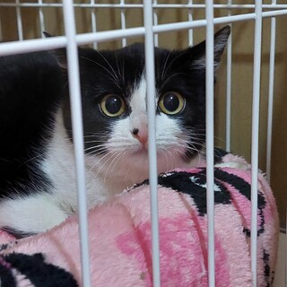 ずっとのお家を見つけました。