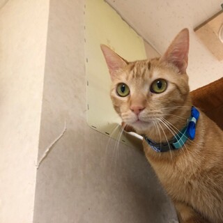 甘えん坊でお尻ぽんぽん大好き❤️