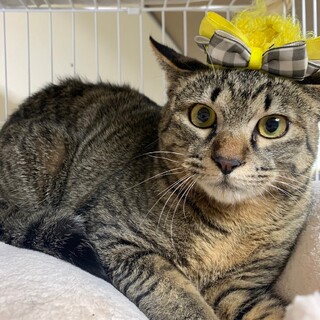 僕の名前はそらです♡