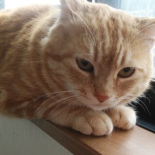 人が好き誰でもウエルカムなあべかわさん、エイズ陽性