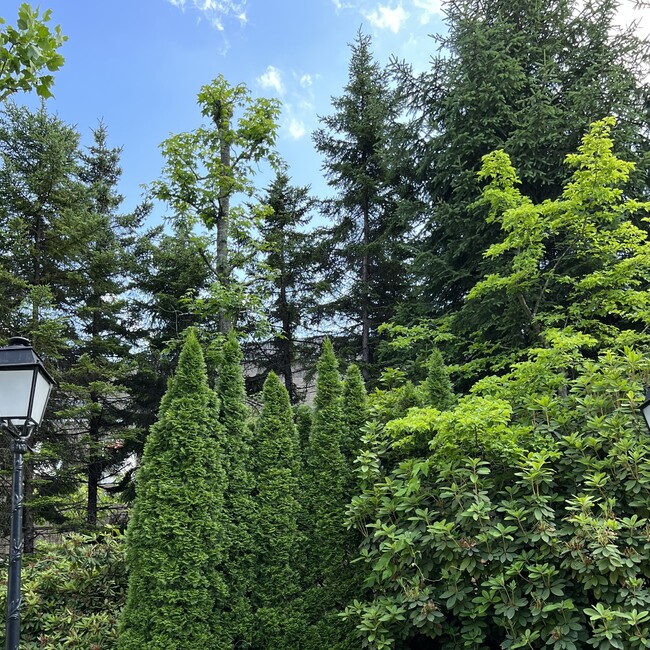 ときどきのカバー写真