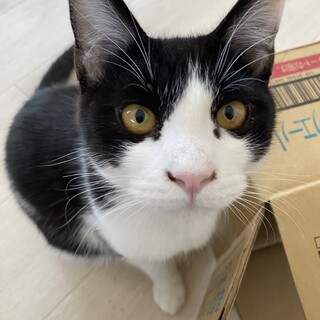 イケメン男子『あお君』