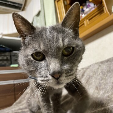 私は誰じゃ？ボケてらんぞ！？凛々しいじゃろ？（＾∇＾）
