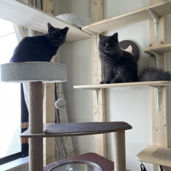 彩0702のカバー写真