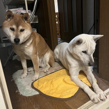 早く風呂あがれー