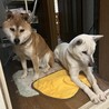 早く風呂あがれー