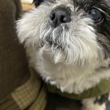 の写真