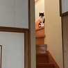 ママ∞
