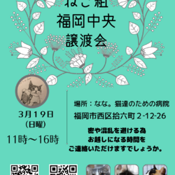 ねこ組福岡中央譲渡会atなな。猫達のための病院 サムネイル1