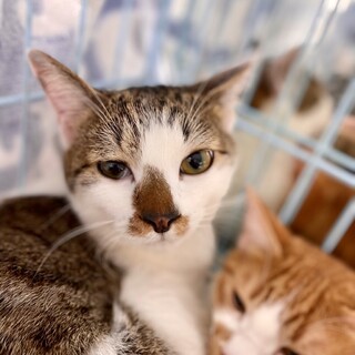 6/25稲毛海岸ෆ⃛シャイで甘えん坊ෆ⃛ぼっちゃん