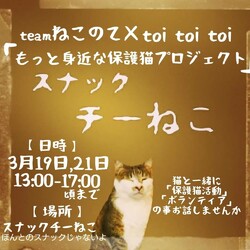 チームねこのて×toi toi toi〜きっとうまくいくミニマムプロジェクトvol7〜⁡
