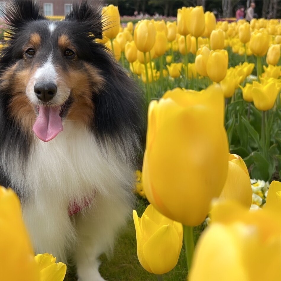 もずくのカバー写真