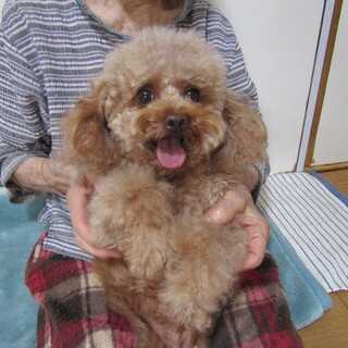 里親様が決まりました。