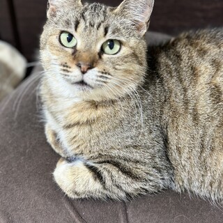 遺棄か？人が大好き過ぎる女の子【譲渡会参加】