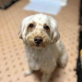 穏やかな性格の女の子、ユイナちゃん♪