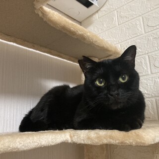 〝ビスケ君〟です♪