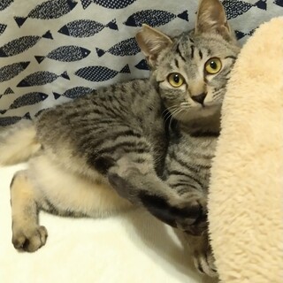 ずっとのおうち決定(^^) プリンスメロンくん