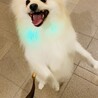 マンションエントランスにて