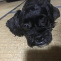 理解がある方へ